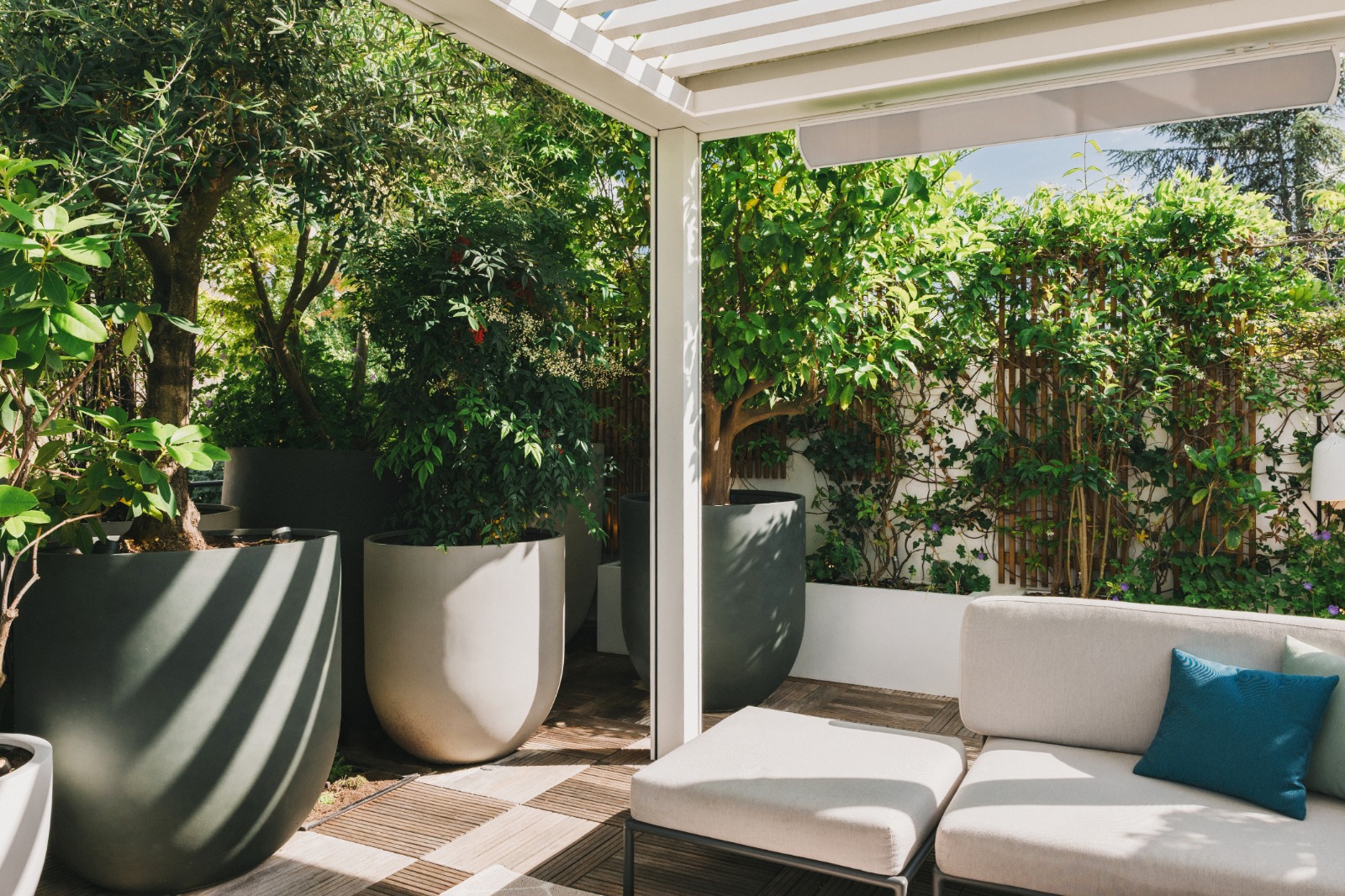 Plantes et jardinage